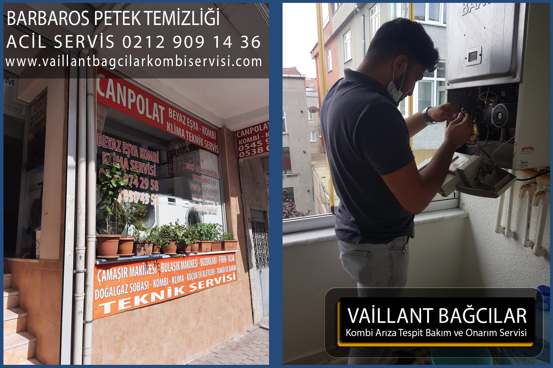 çınar petek temizliği